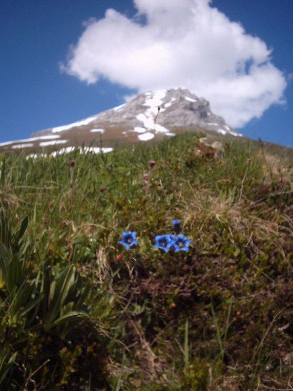 Click for original image 324k 1536x2048