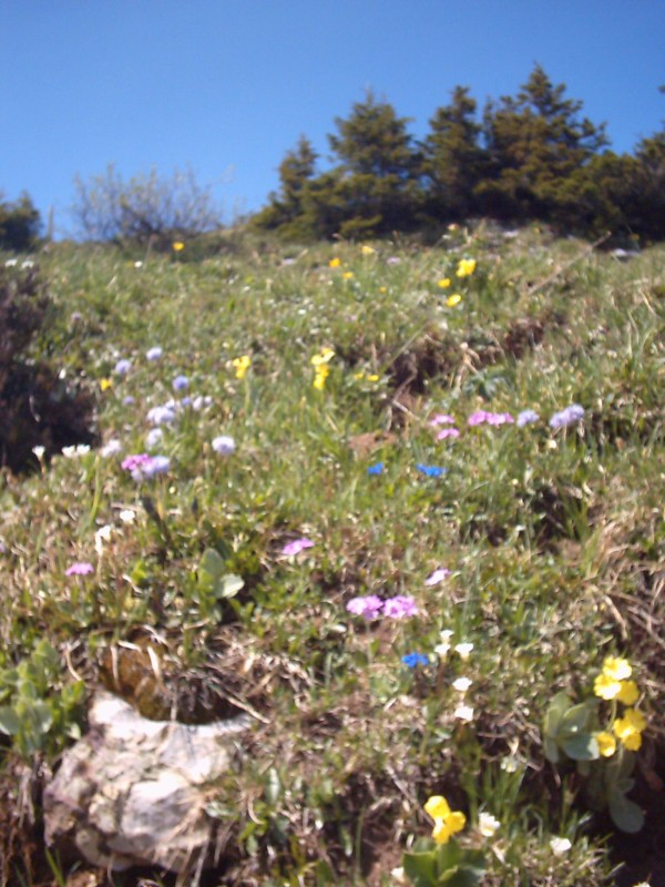 Click for original image 416k 1536x2048