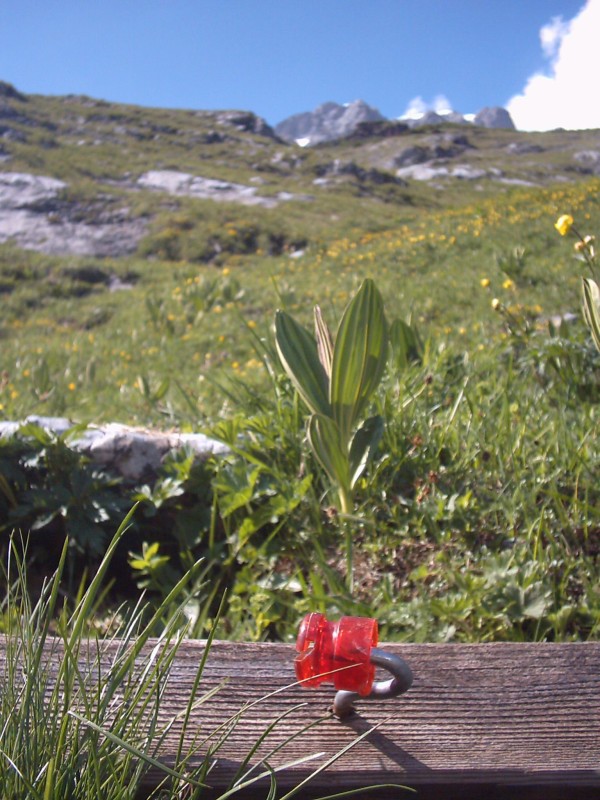 Click for original image 449k 1536x2048