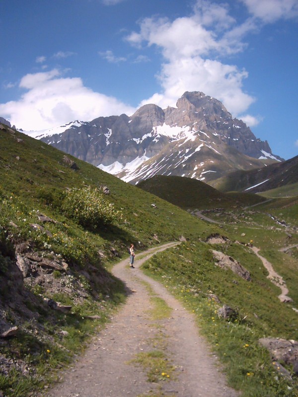 Click for original image 431k 1536x2048