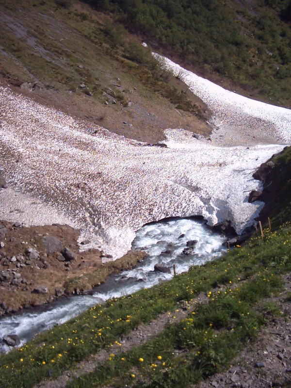 Click for original image 664k 1536x2048