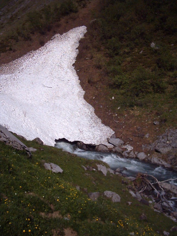 Click for original image 489k 1536x2048