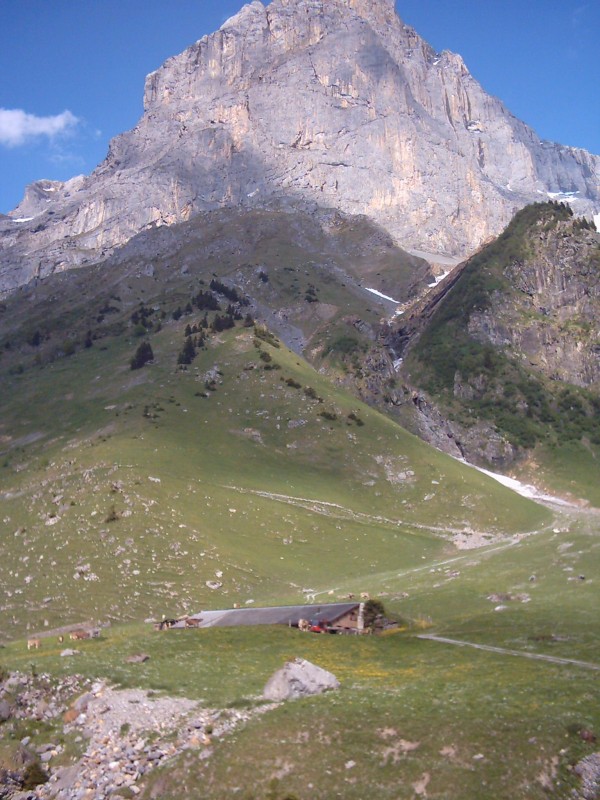 Click for original image 466k 1536x2048