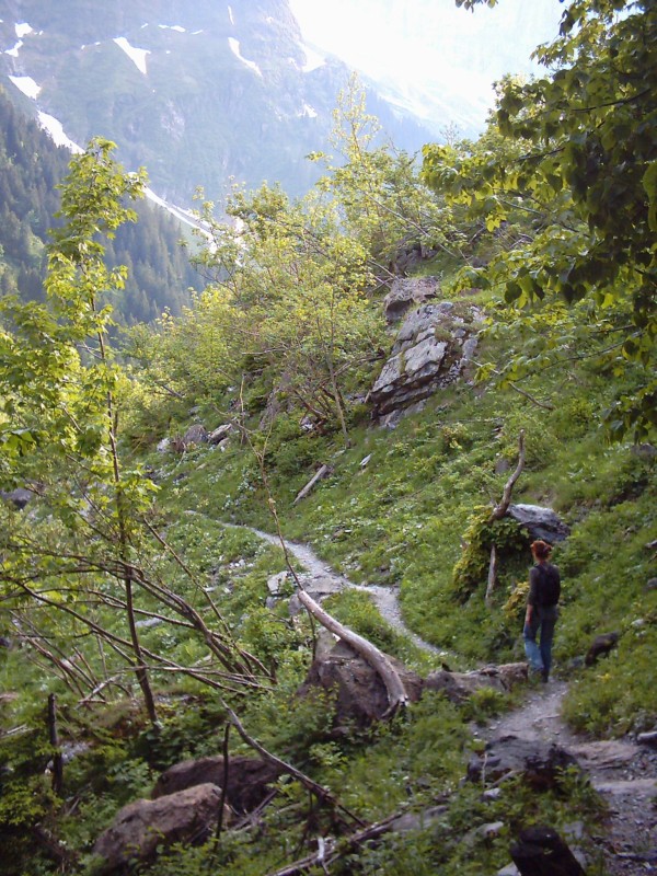 Click for original image 660k 1536x2048