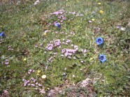 Click for large version