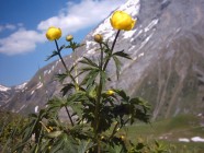 Click for large version