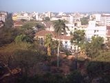 IND2_0256 