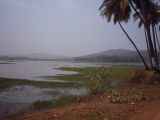 IND3_0321 