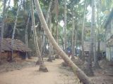 IND3_0469 