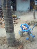 IND3_0478