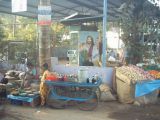 IND1_0195 